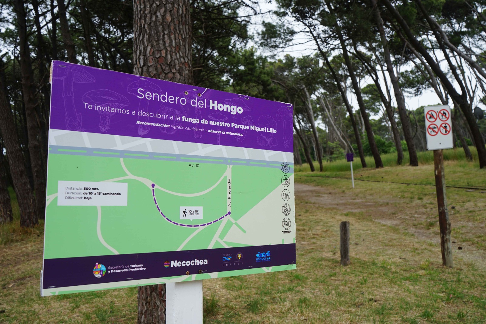 Lee más sobre el artículo Sendero de Hongos: Un nuevo paseo ambiental para el Parque Miguel Lillo